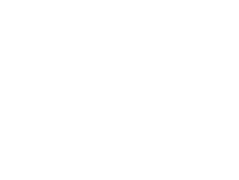 Logo de Mega